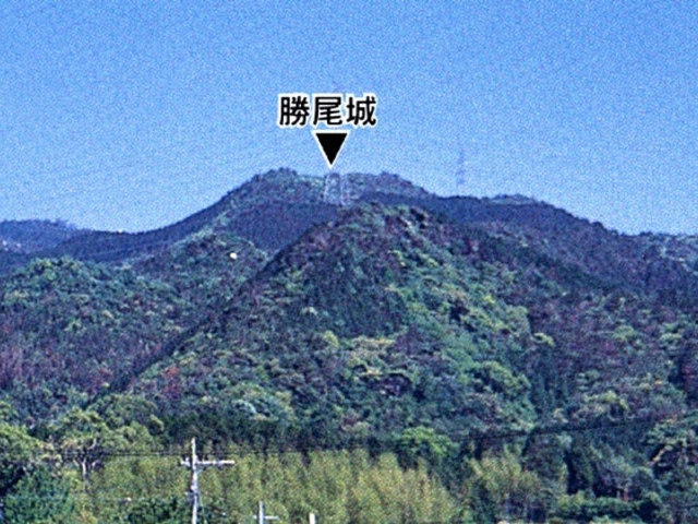 城山の写真1