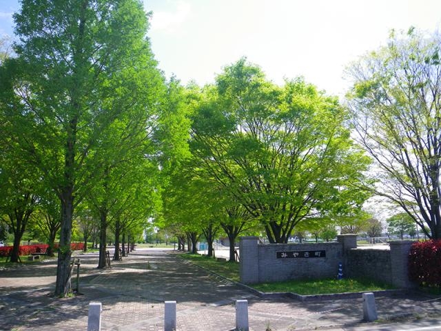 中原公園の写真1