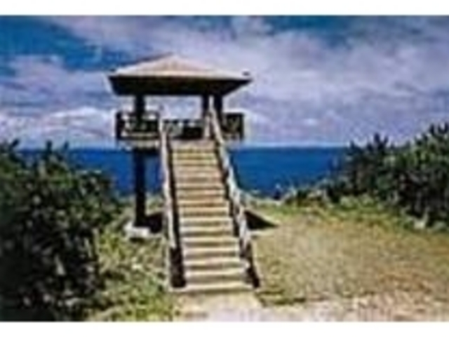クジラ観察は、のんびり根気よく!_くじらの展望台(稲崎展望台)
