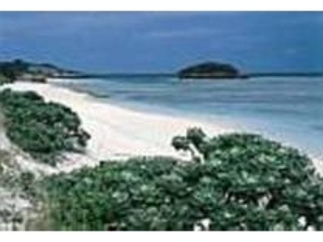 手付かずのビーチでもこんなにキレイ_野甫島