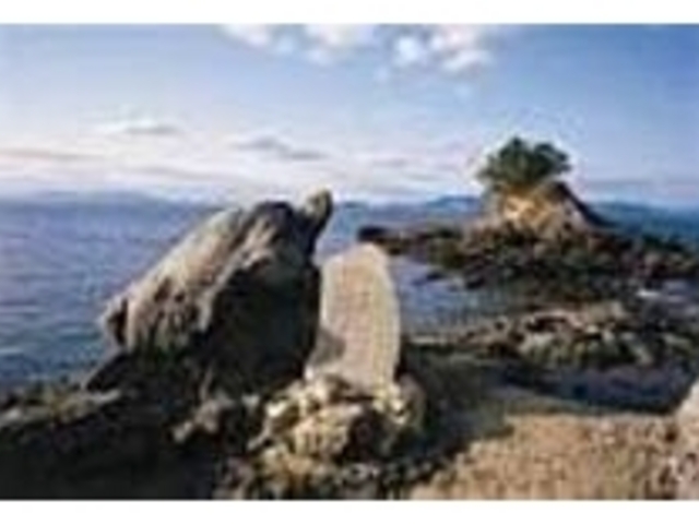 歩道が整備され、散歩コースになっている_湯の児島