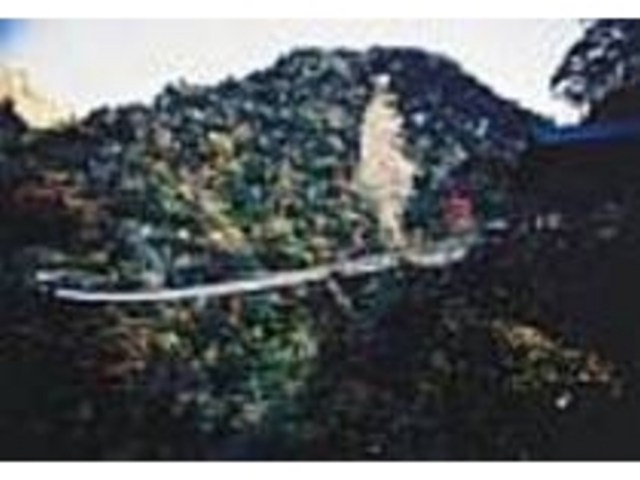 橋の高さも忘れ思わず見とれてしまう_梅の木轟の吊り橋