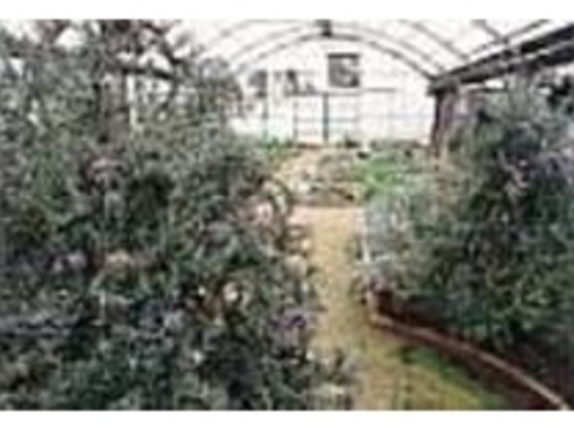 園内はいい香りで心がとても癒される_うぶやま香草園