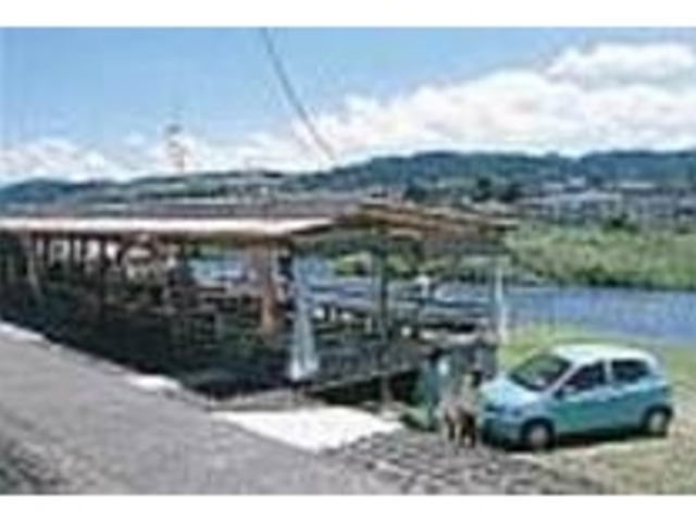 川沿いに仮設された吹き抜けの店内_鮎やな