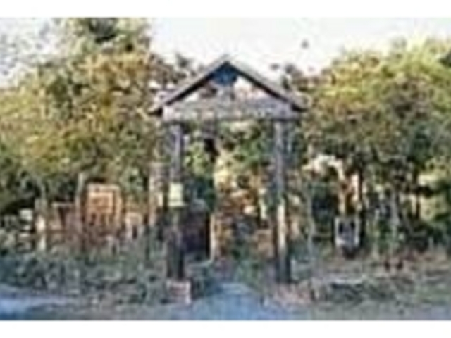 山小屋風の建物はご主人が古材木で建てた物_山小屋喫茶・山閑人新里眞紗生