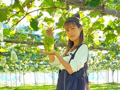 はら農園の写真1