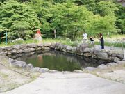 上野養魚場の写真2