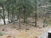 滑床渓谷キャンプ場の写真1