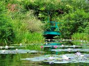 北川村「モネの庭」マルモッタンの写真4