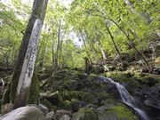 四万十川源流点の写真1