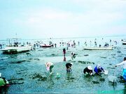 有明海観光遊漁船の写真1