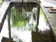 若山温泉の写真3