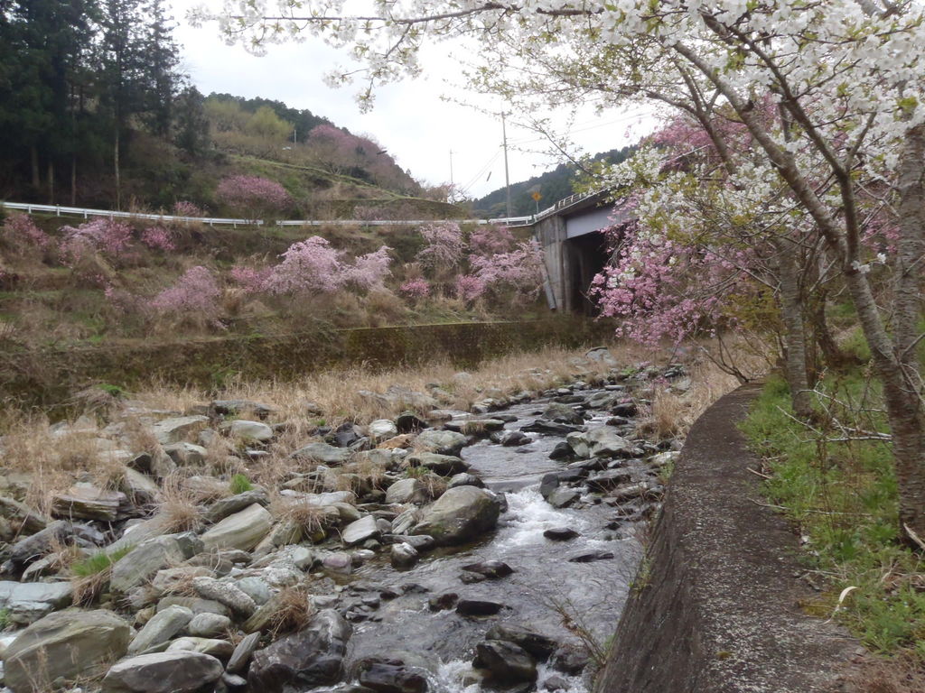 美郷ほたる館