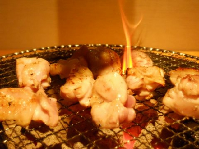 燗鳥井の写真1