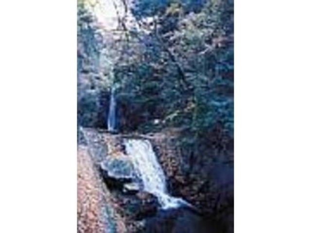 静かな森の中で音を轟かせて流れる鼓ケ滝_鼓ケ滝公園