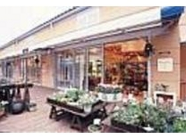 店先には美しいテラコッタの鉢植えが並ぶ_ボン・イデ・デュ K's