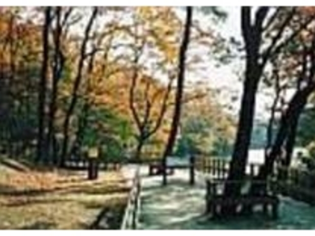 紅葉の季節には、山全体が美しく染まる_むろいけ園地