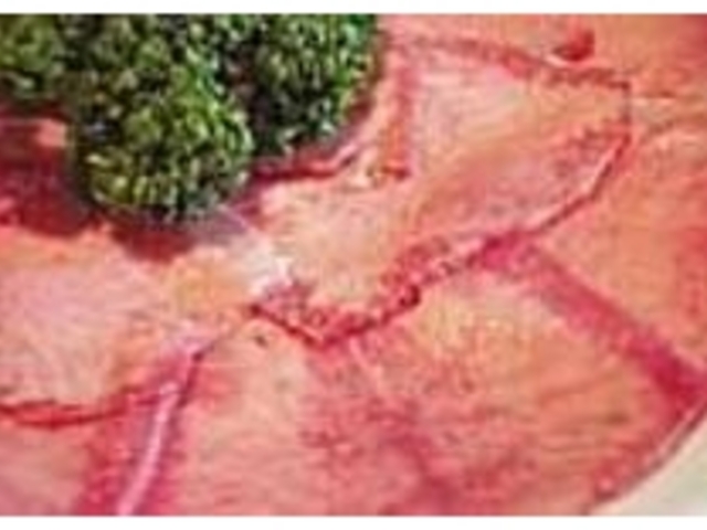 肉の旨味を最大限引き出すためタレは2種類_焼肉レストラン海南亭