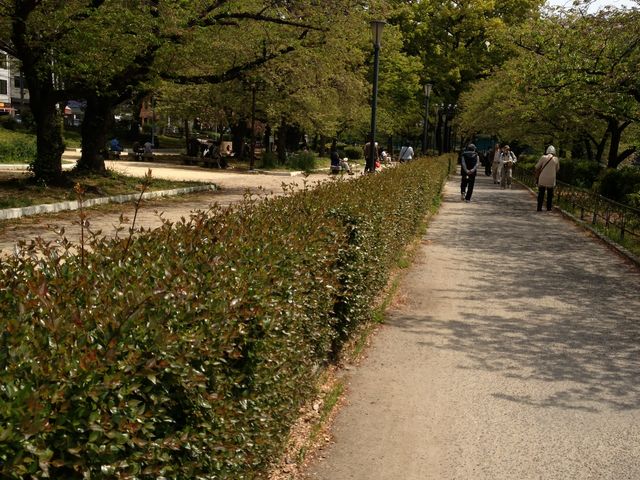 淀川河川公園西中島地区