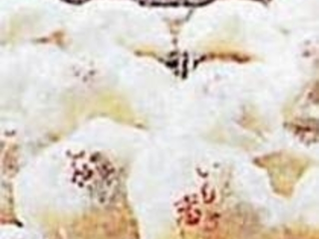 電子レンジで温めると、一層おいしい!_浪漫茶房右門