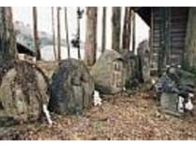 丸い石に彫り込まれている双体道祖神群_関東ふれあいの道「道祖神の道」