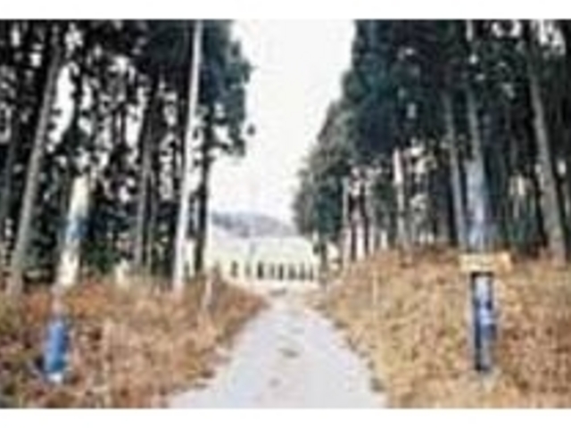 林をくぐり抜けると広い野原が広がる_創造の森