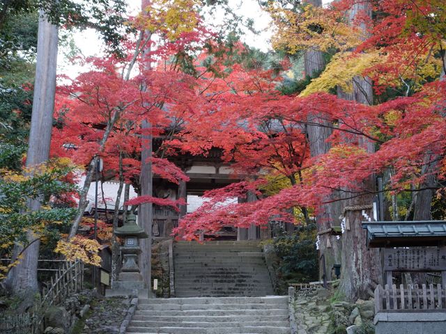 湖東三山 西明寺