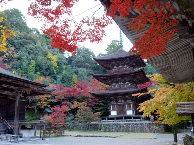 湖東三山 西明寺