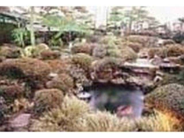 小堀遠州の流れをくむ枯山水の名庭_竹平楼