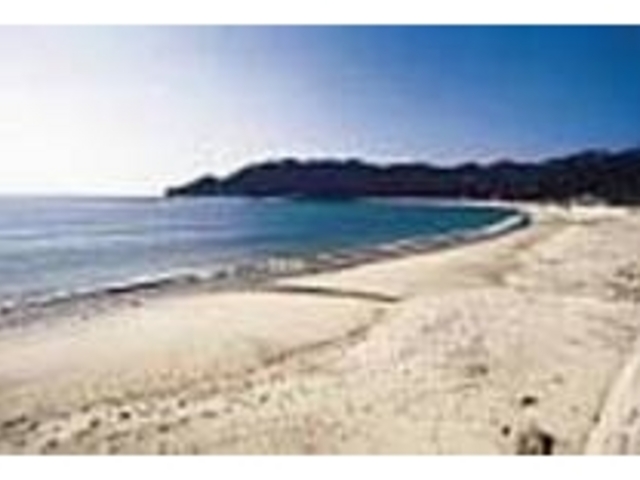 1度は海ガメの産卵風景も見てみたいもの_手打海岸