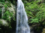壬生沢不動滝の写真1