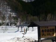 菅大平・大平あやめ公園池の写真1