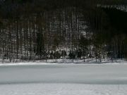 菅大平・大平あやめ公園池の写真3