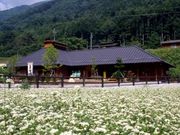 あさひそば打ち道場 もえぎ野の写真2
