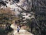 むろいけ園地の写真2