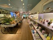 CANDLEHOUSE ChouChouの写真4