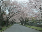 伊豆の陶芸 窯元 陶八画の写真3
