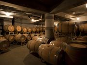 中伊豆ワイナリーシャトーT.Sの写真4