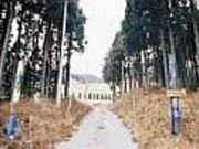 創造の森の写真2