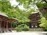 湖東三山 西明寺の写真2