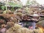 竹平楼の写真2