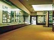 くまもと文学・歴史館の写真1