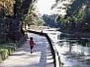 くまもと文学・歴史館の写真2