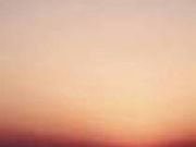 サンセットオーシャン202の写真2