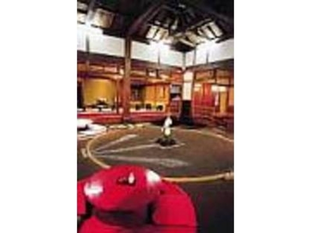 大迫力の土俵を眺めながら食事が楽しめる_吉葉