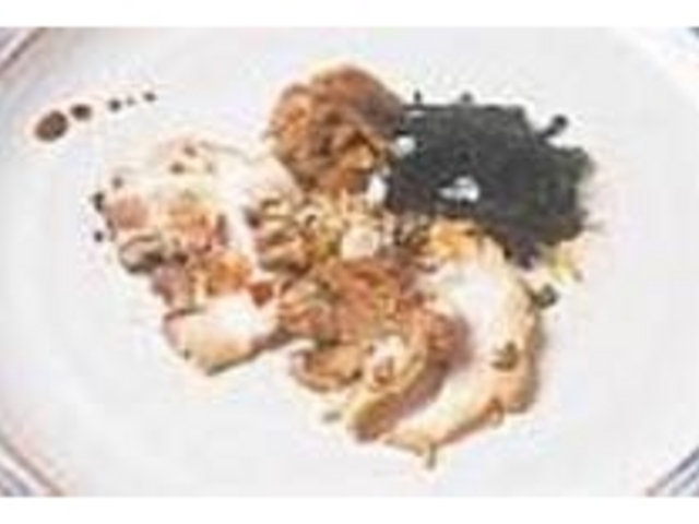 鹿児島産のチャーシューは舌にとろける旨さ_JAH