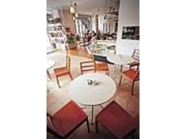 居心地のよい光がさしこむ明るい店内_cucciolo cafe