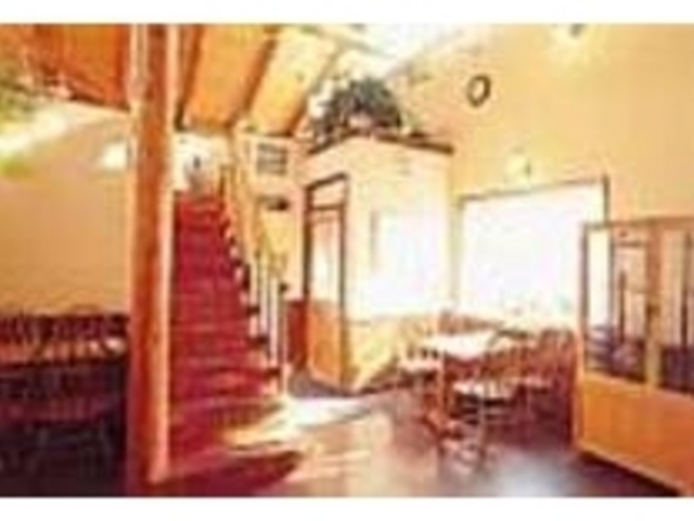 気取らない雰囲気のウッディな店内_メイプル