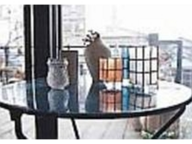 自宅でできるディスプレイのヒントにしたい_MANOS GARDEN