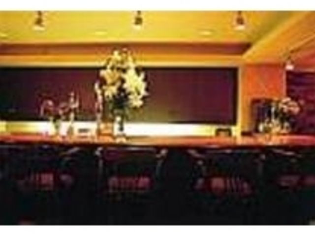 不定期でジャズピアノの生演奏が行われる_シャーロックホ−ムズ